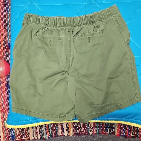 Green Cargo Shorts with Flat Front and Belt Loops - Picture 3 of 3